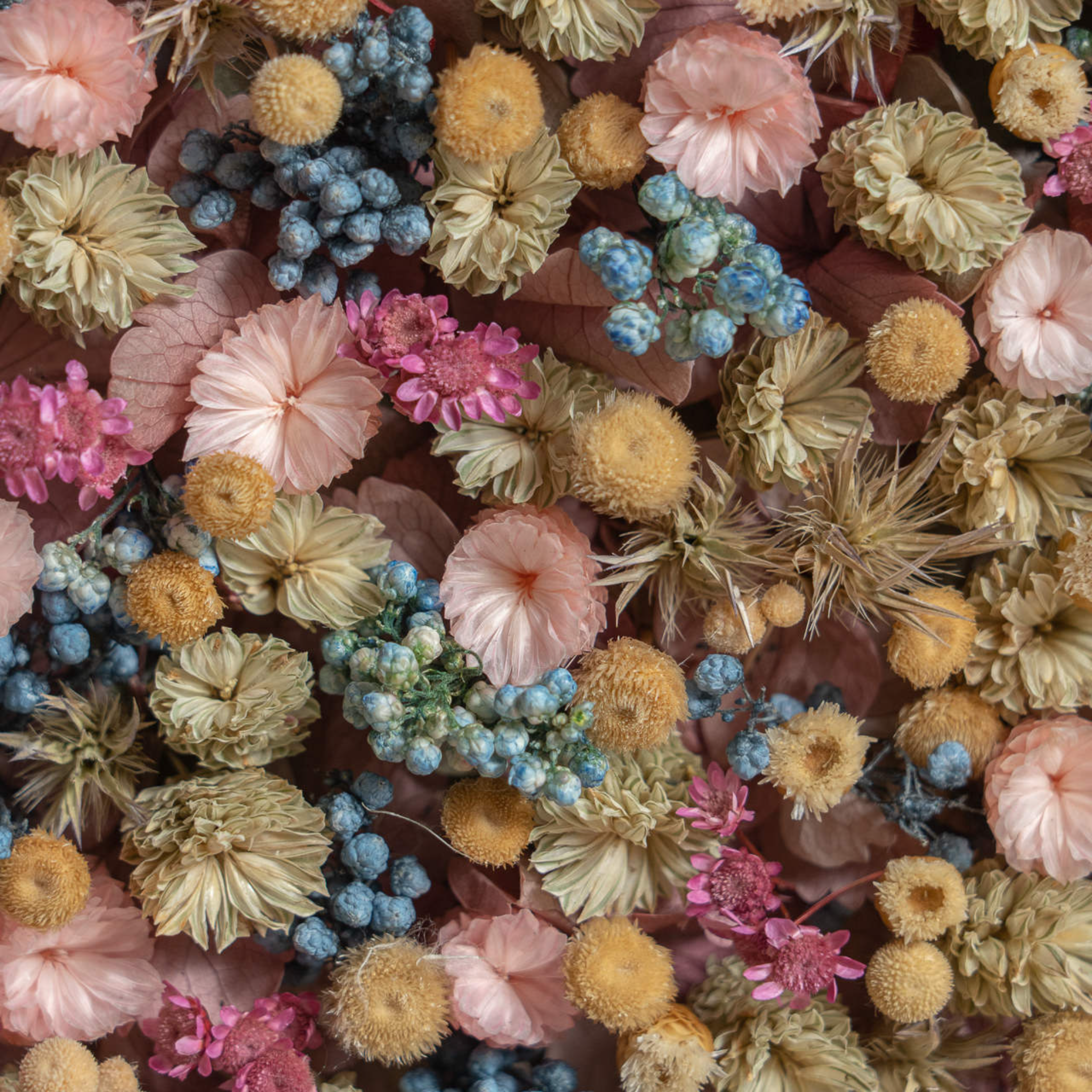 Mariposa de flores 4