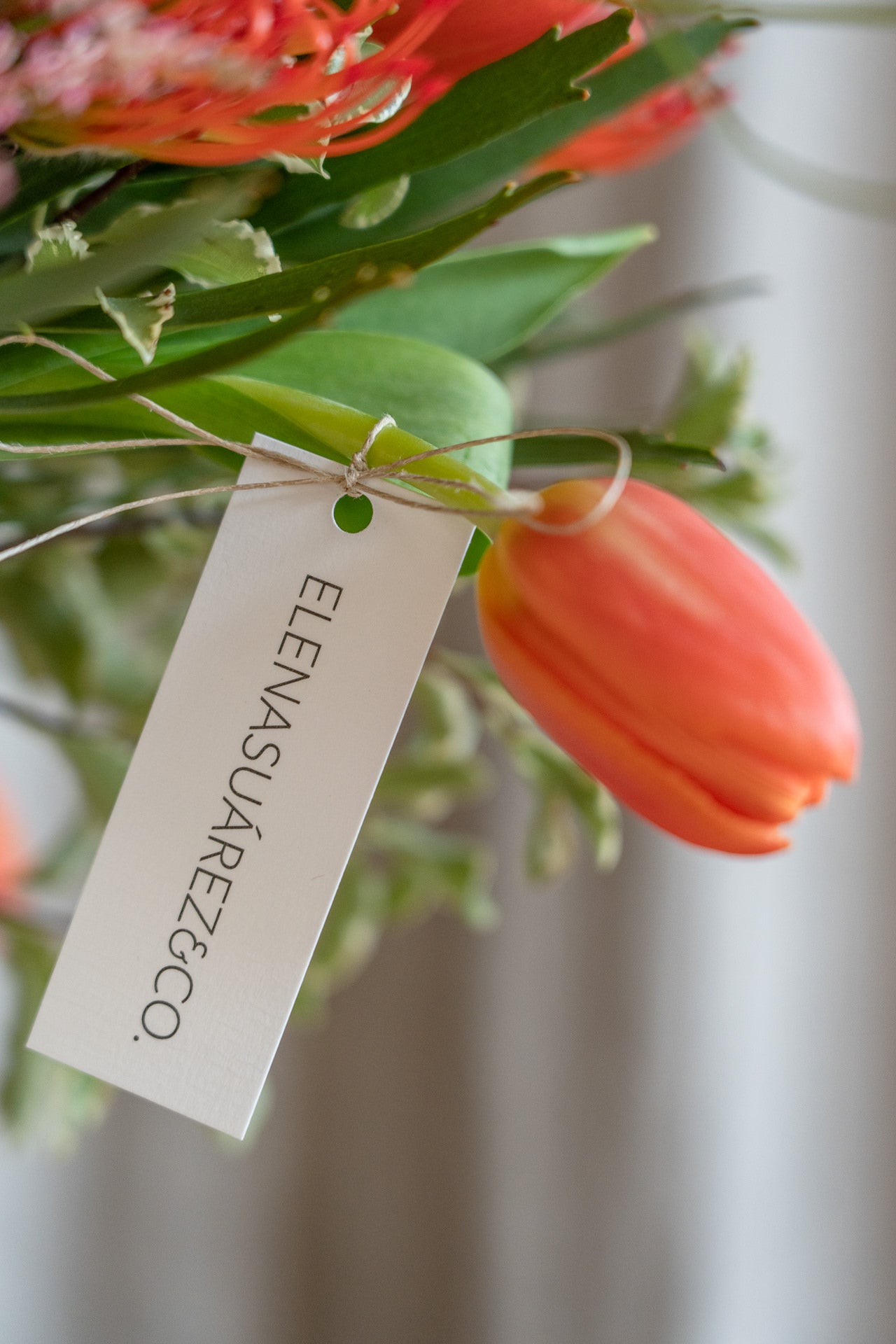 Titi con Flores Frescas 8