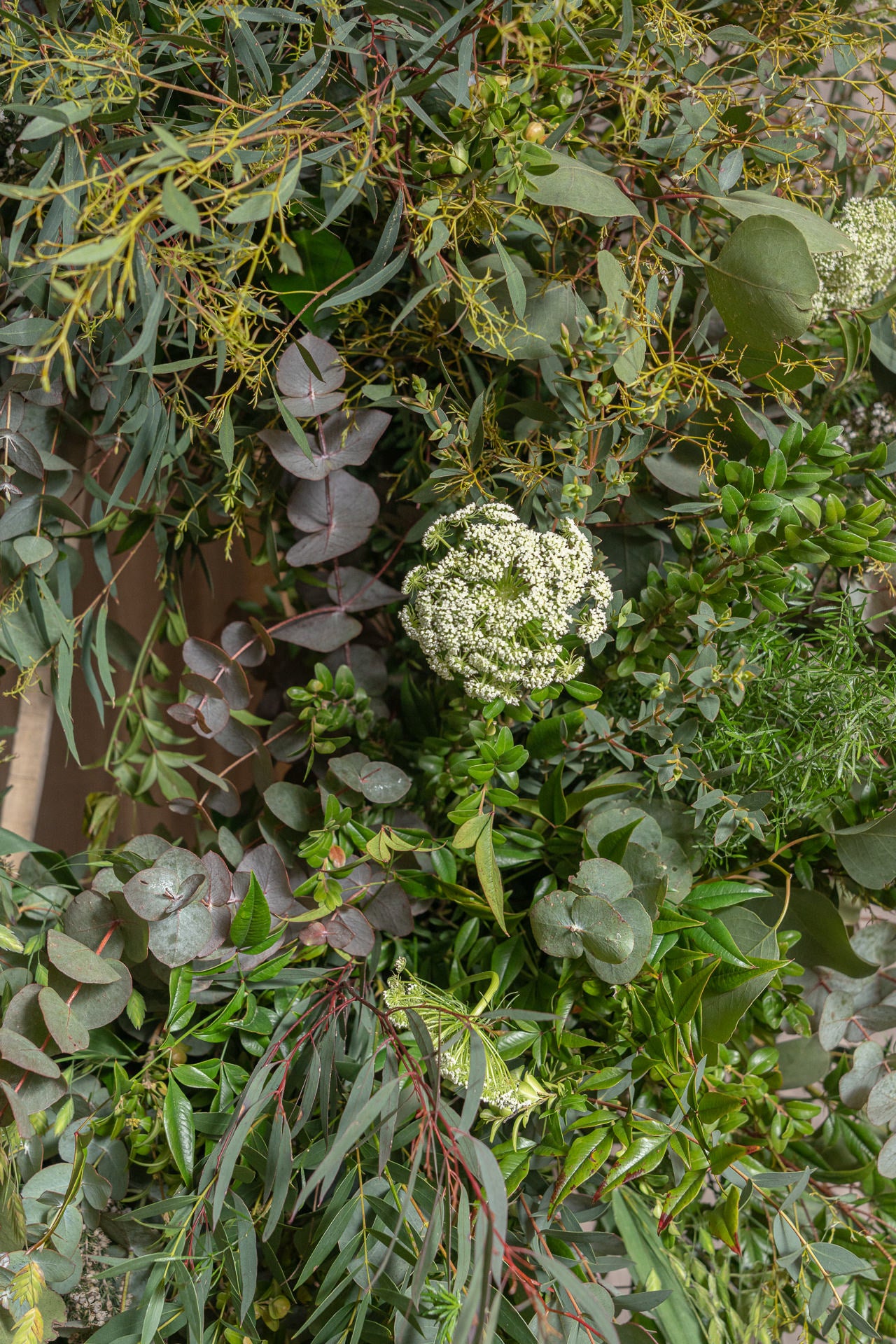 Corona con Verdes de Temporada 3