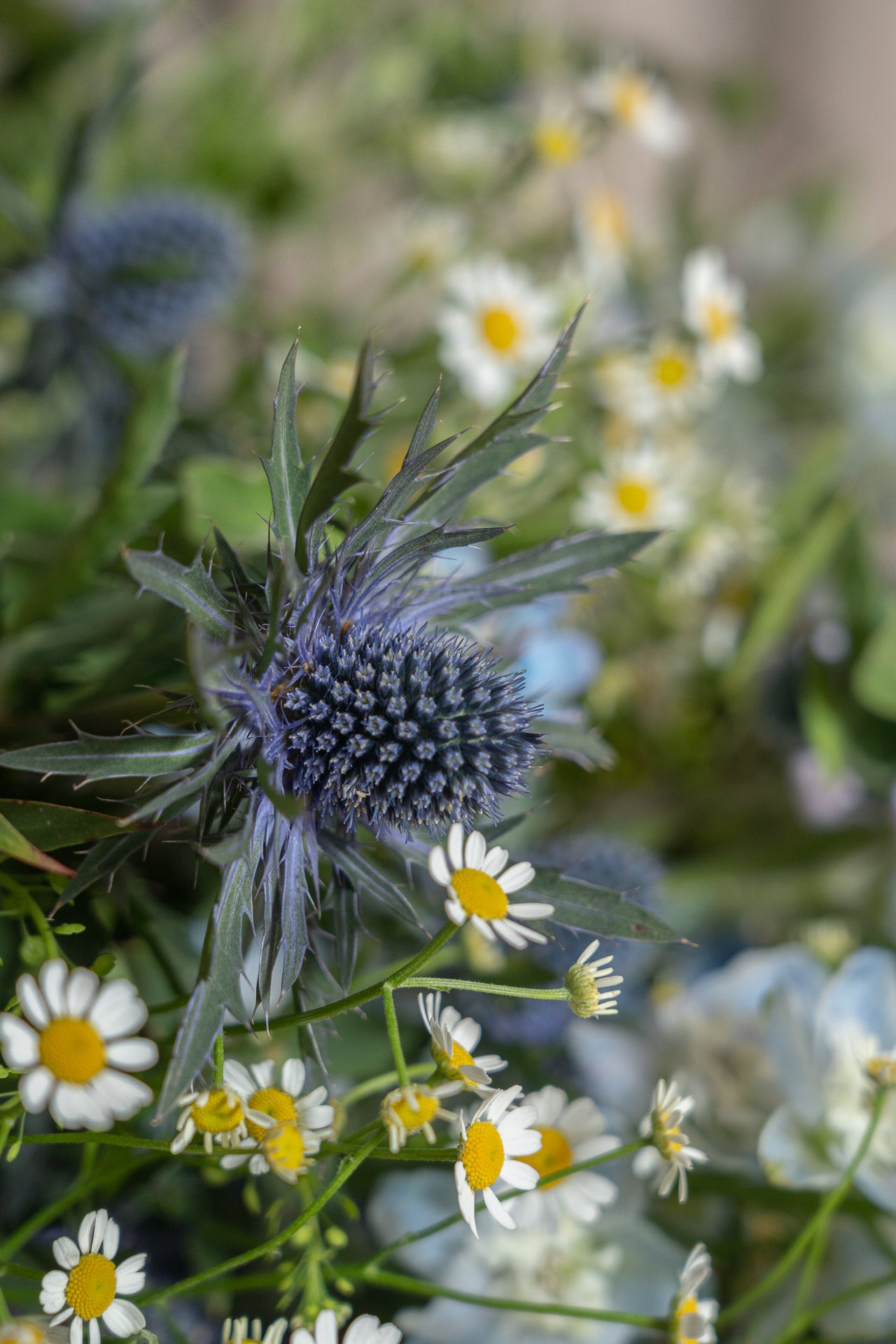 Ramo a una cara con Flores de Temporada 3