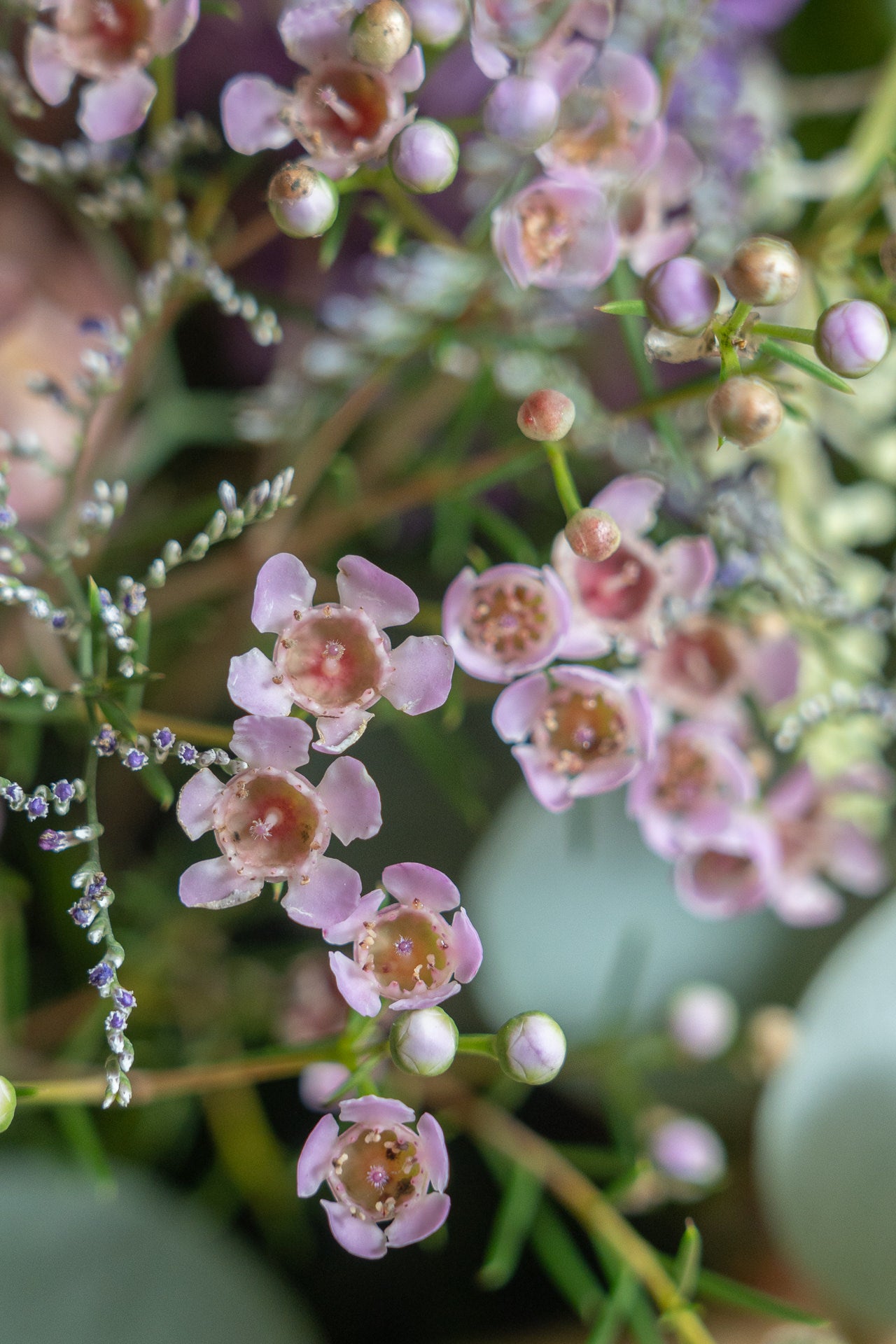 Cesto de Palma con Flores Frescas 11