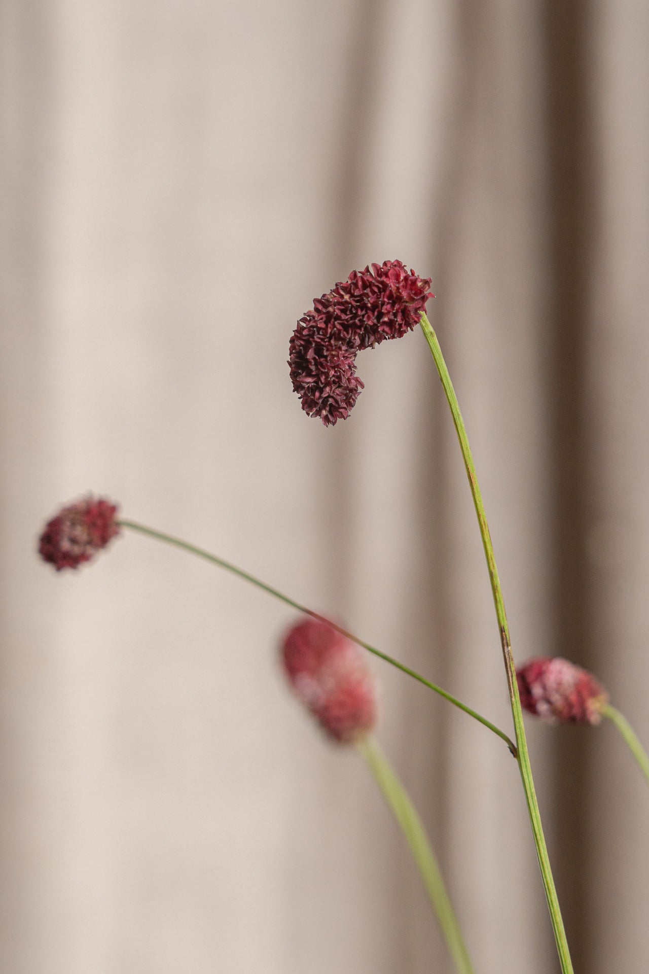 Cesto de Palma con Flores Frescas 12