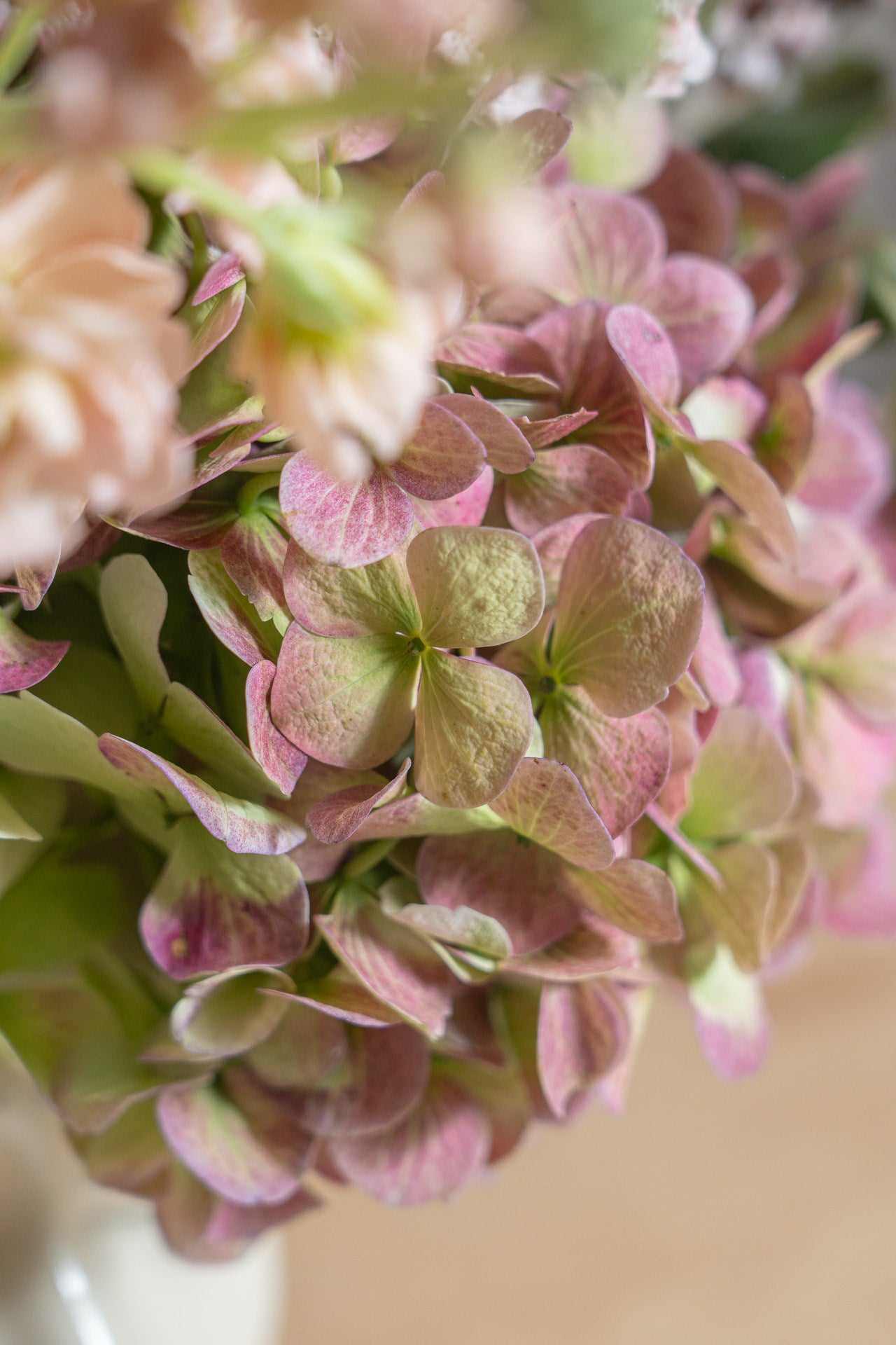 Jarrón Hécate con flores frescas 4