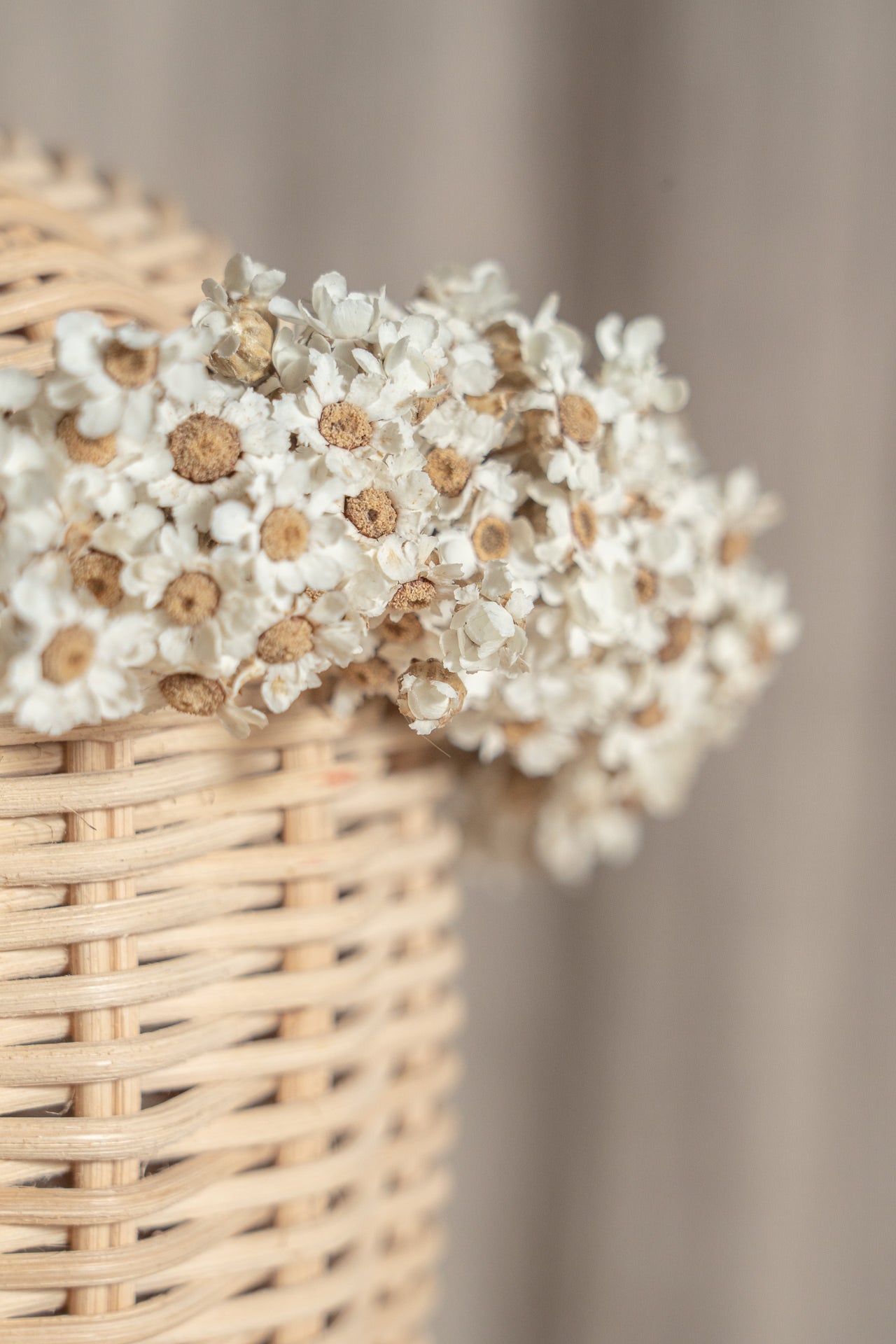 Coronita flores silvestres blancas 4