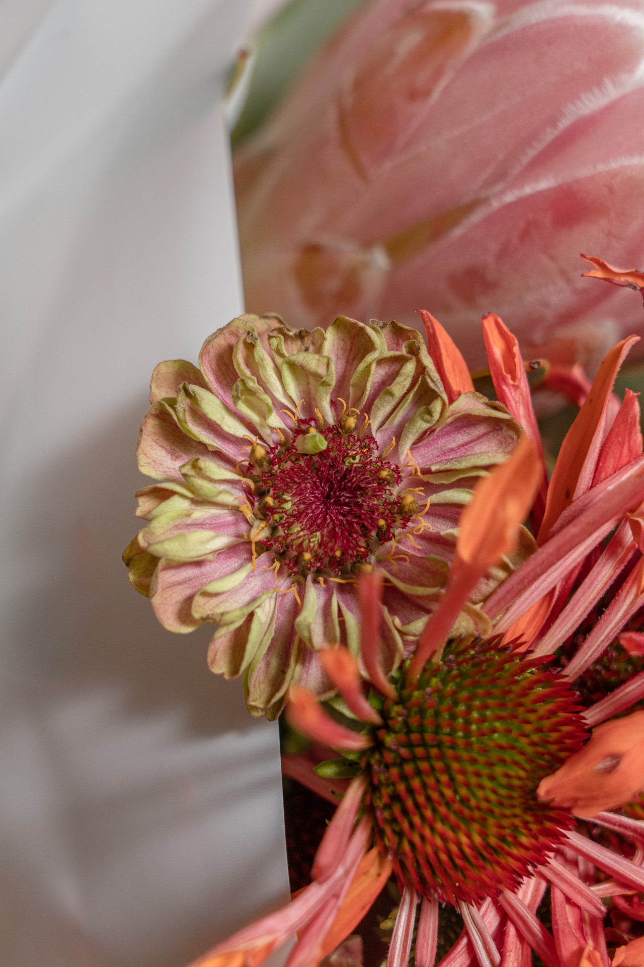 Paquete de Flores Variadas de temporada en tonos rosas/fucsias 4