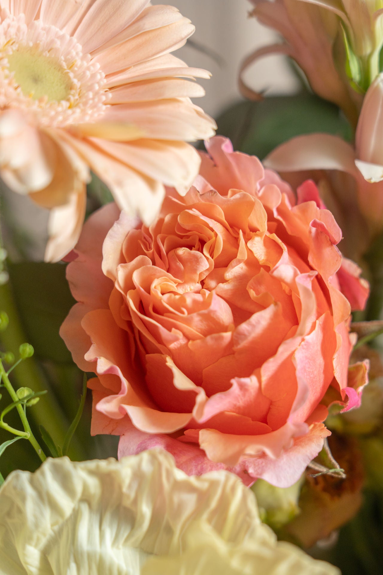 Jarrón Ánfora marrón Especial Día de la Madre 3