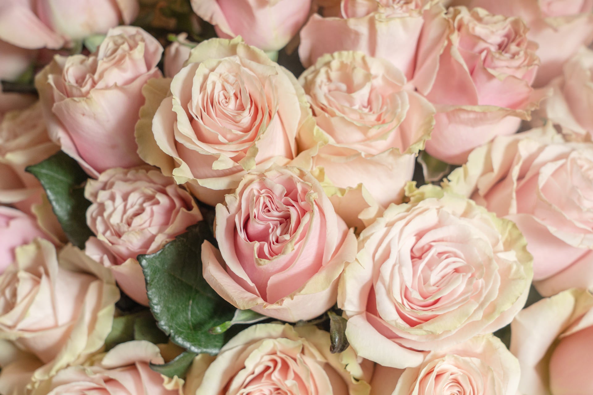 Ramo Grande Rosas Especial Día de la Madre 4