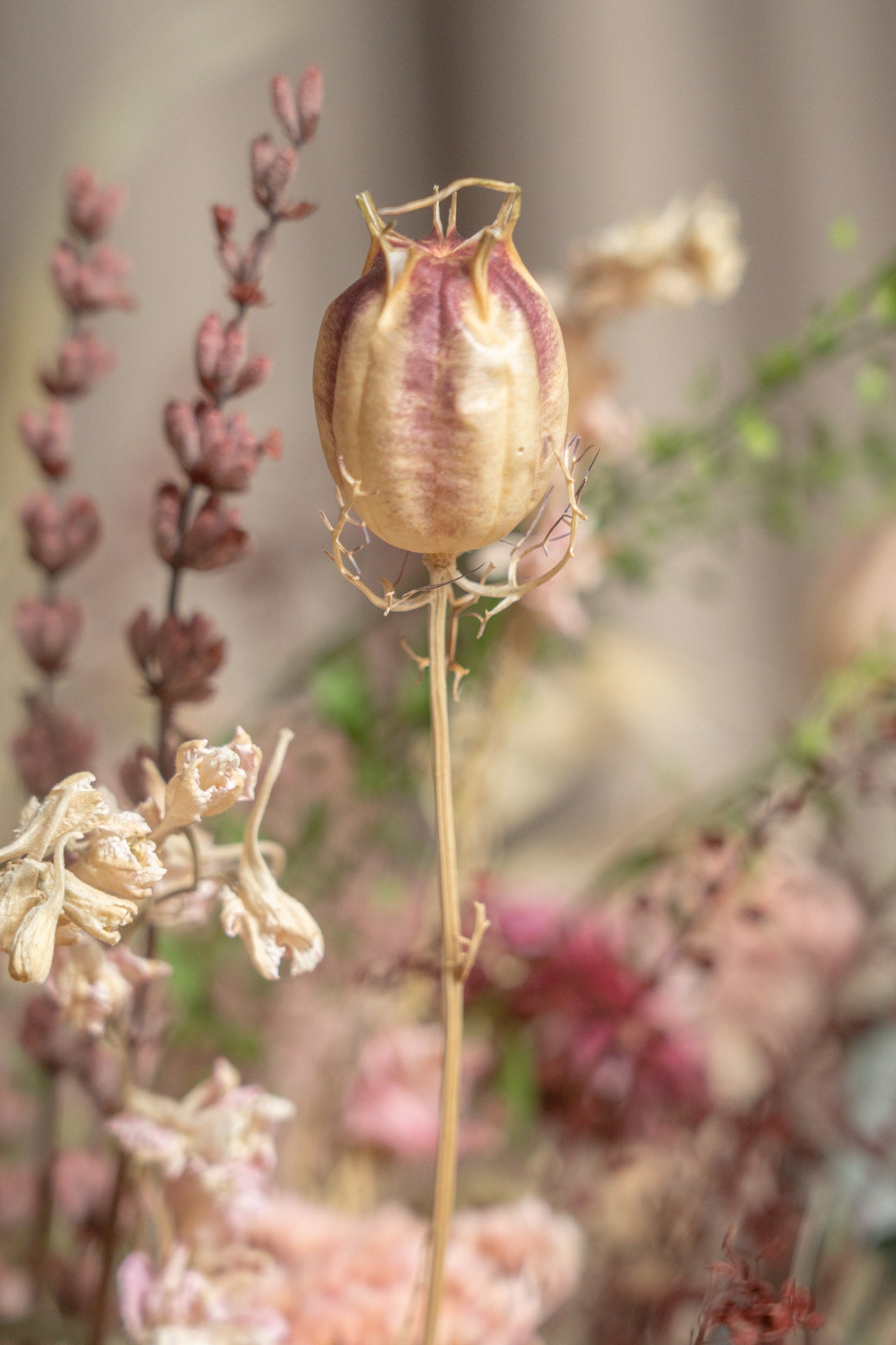 Jarrón Ánfora con Flores Preservadas 4