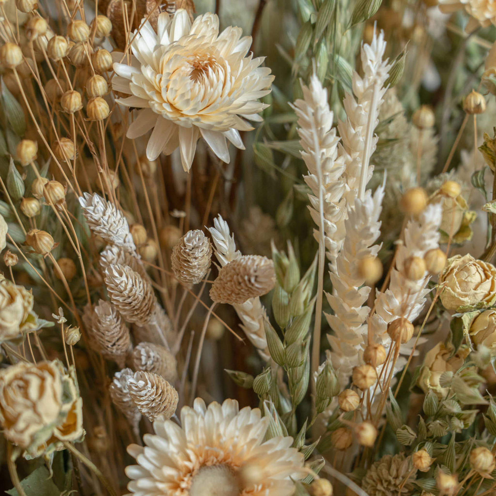 Caja de Madera Flores Preservadas 5