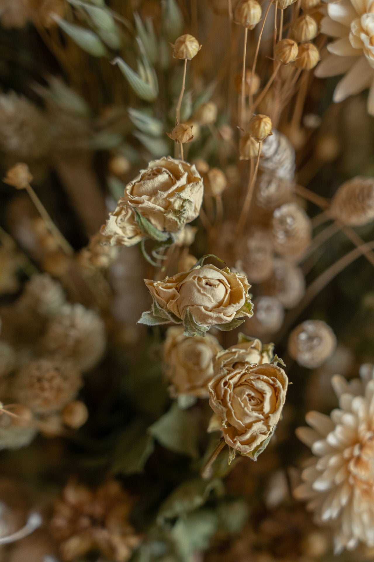 Jarrón Cerámico Ovalado con Flores Preservadas 4